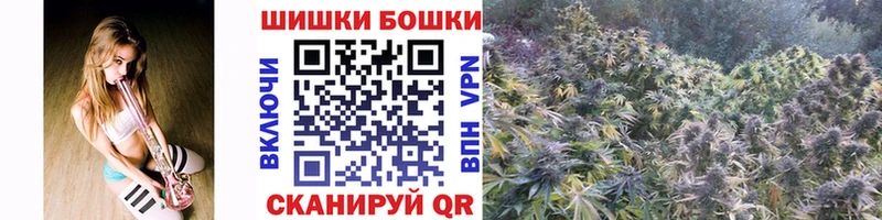 Где продают наркотики Кувшиново Кокаин Марихуана МЕФ Псилоцибиновые грибы Гашиш А ПВП