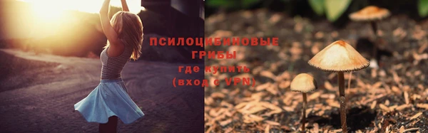 молекула духа Аркадак