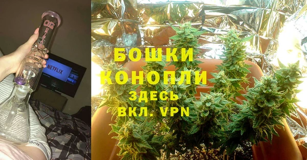 дживик Арсеньев