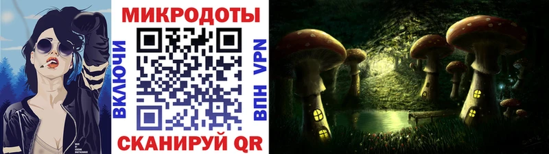 мега ссылки  Кувшиново  Псилоцибиновые грибы MAGIC MUSHROOMS  хочу наркоту 